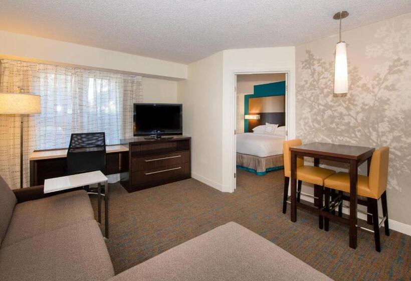 带大床的套房, Residence Inn By Marriott Jacksonville Butler Boulevard