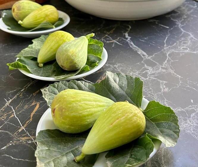 Suite with Terrace, B&b Don Alessandro