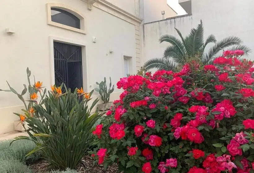 Suite con Terrazza, B&b Don Alessandro