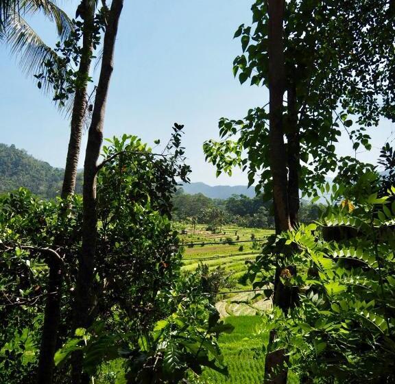 חדר דלוקס, Green Vanilla Bungalow