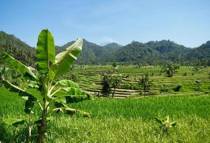 חדר דלוקס, Green Vanilla Bungalow