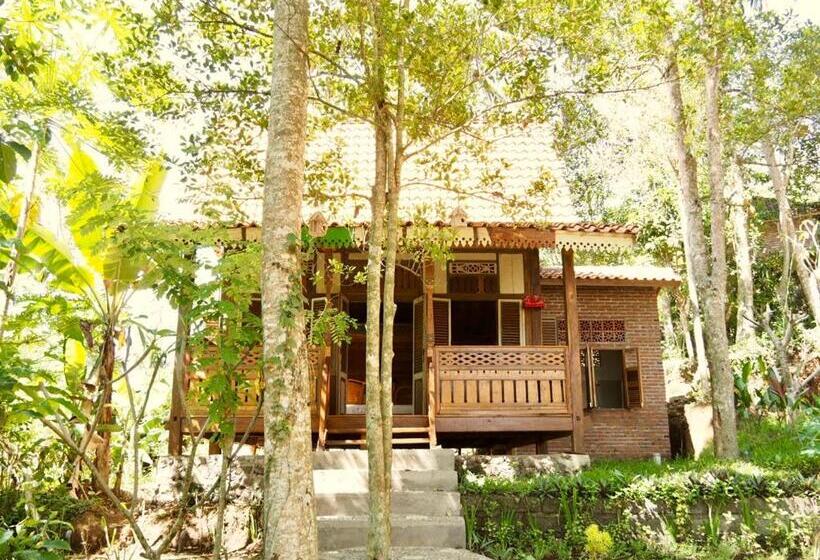 חדר דלוקס עם מרפסת, Green Vanilla Bungalow