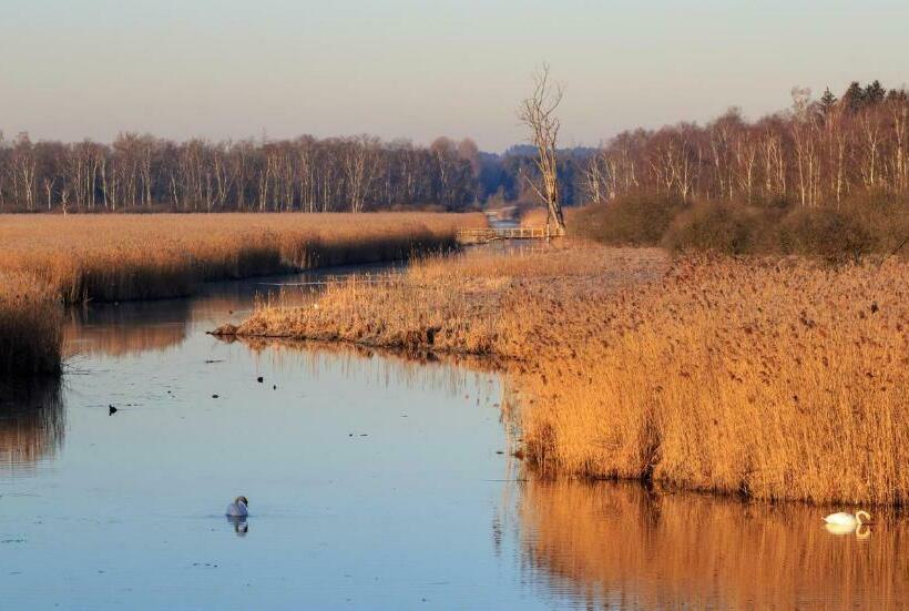 스탠다드 싱글 룸, Pension Neustart