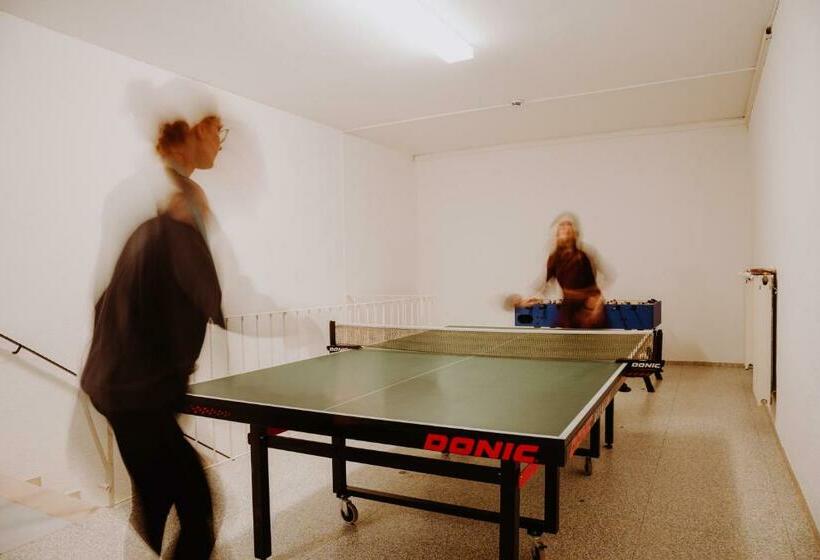 스탠다드 싱글 룸, Pension Neustart