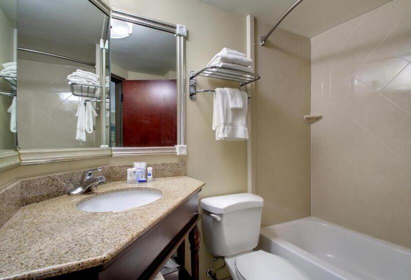 带大床的标准间, Best Western Eagles Inn