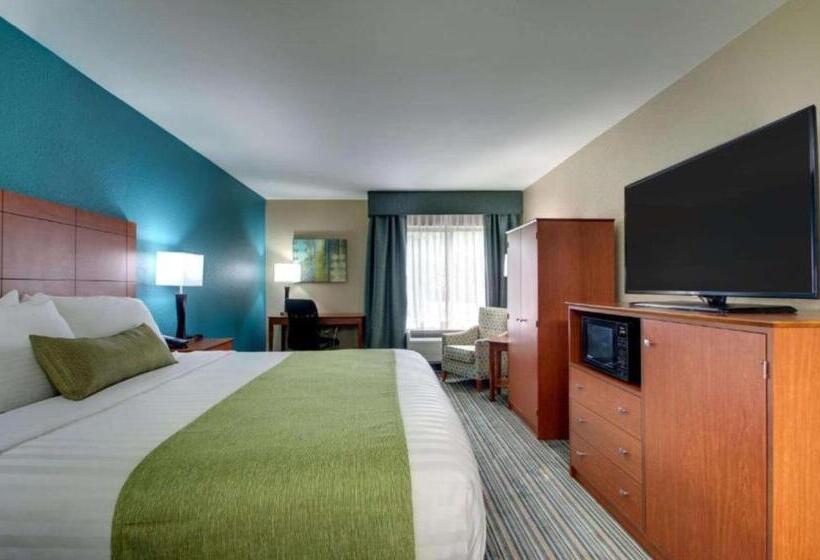 带大床的标准间, Best Western Eagles Inn