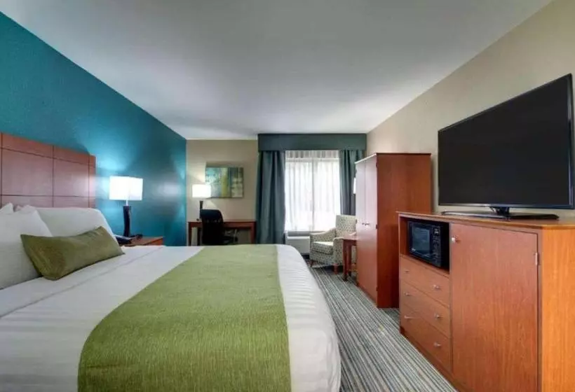 キングサイズベッドのスタンダードルーム, Best Western Eagles Inn