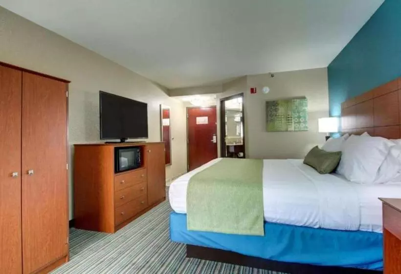 キングサイズベッドのスタンダードルーム, Best Western Eagles Inn