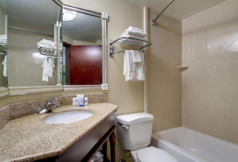 带大床的标准间, Best Western Eagles Inn