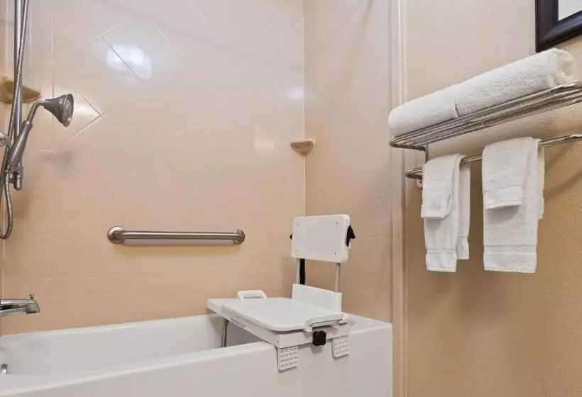 身障者適用スタンダードルーム, Best Western Eagles Inn