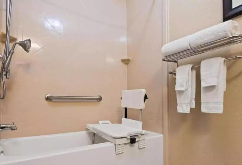 身障者適用スタンダードルーム, Best Western Eagles Inn