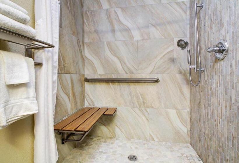 适合残疾人士使用的带超级大床的标准间, Best Western Eagles Inn