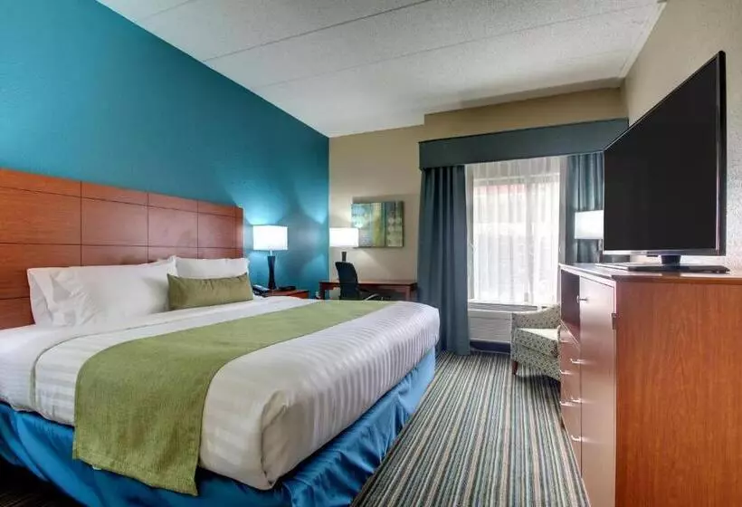 身障者適用キングサイズベッドルーム, Best Western Eagles Inn