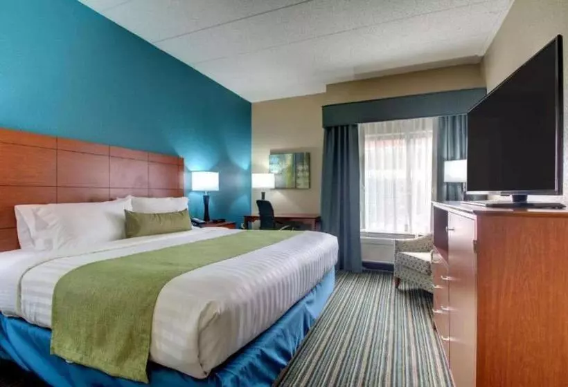 身障者適用キングサイズベッドルーム, Best Western Eagles Inn