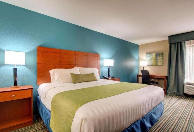 适合残疾人士使用的带超级大床的标准间, Best Western Eagles Inn