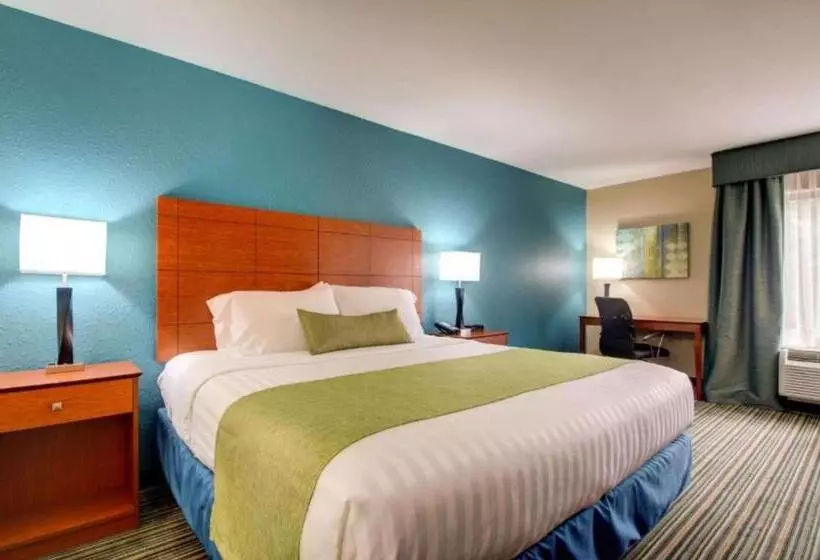 身障者適用キングサイズベッドルーム, Best Western Eagles Inn