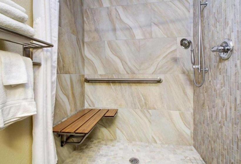 适合残疾人士使用的带超级大床的标准间, Best Western Eagles Inn