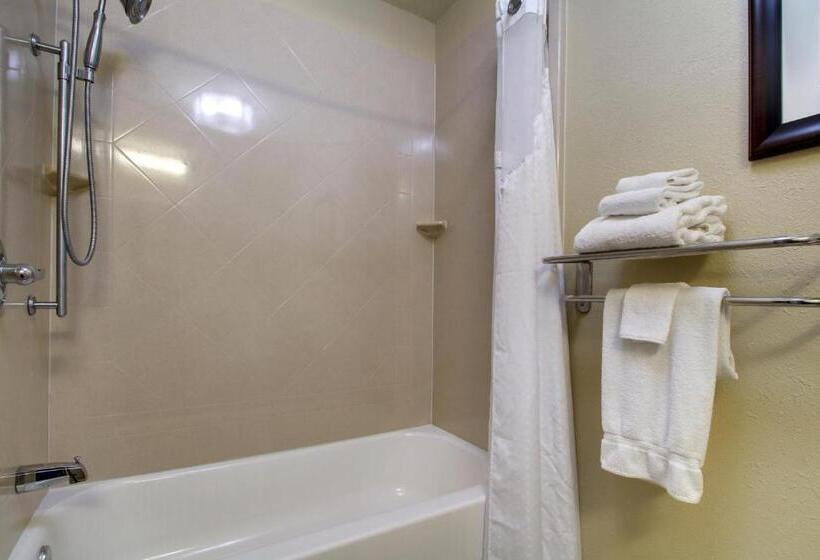 适合残疾人士使用的带超级大床的标准间, Best Western Eagles Inn