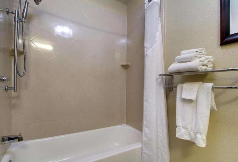 장애인을 위한 킹사이즈 침대 스탠다드 룸, Best Western Eagles Inn