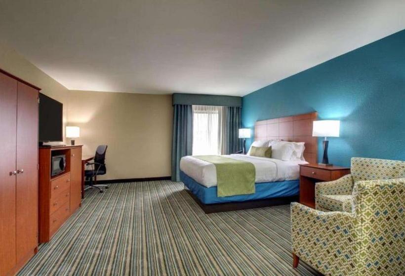 带大床的标准间, Best Western Eagles Inn