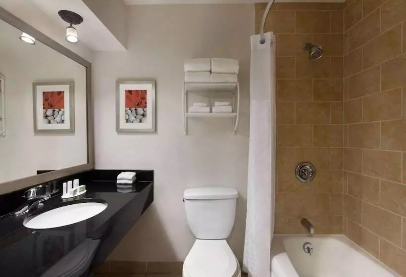 景色の見えるスイートルーム, Ramada By Wyndham Sarasota Waterfront