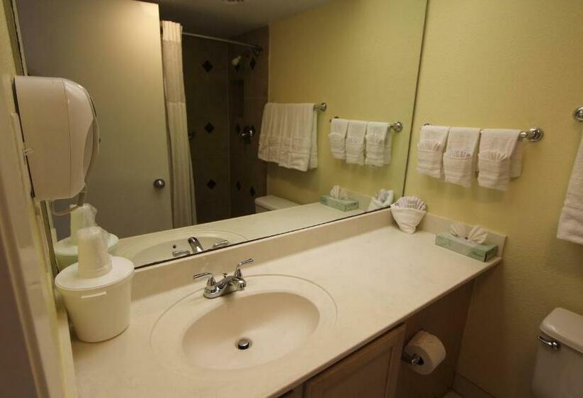 إستوديو قياسى, Royale Beach And Tennis Club