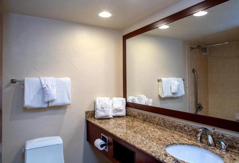 １ベッドルームアパートメント, Sandstone Creek Club Condominiums