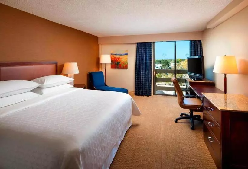 キングサイズベッドのクラブルーム, Sheraton Albuquerque Uptown By Marriott
