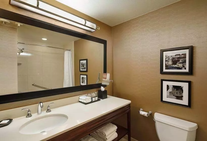 اتاق اجرایی, Sheraton Sioux Falls Hotel & Convention Center