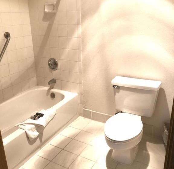 اتاق استاندارد با تخت بزرگ, Shilo Inn Mammoth Lakes