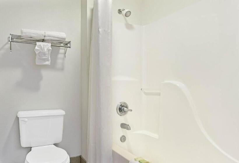 اتاق استاندارد با تخت بزرگ, Super 8 By Wyndham Tucson/grant Road Area Az