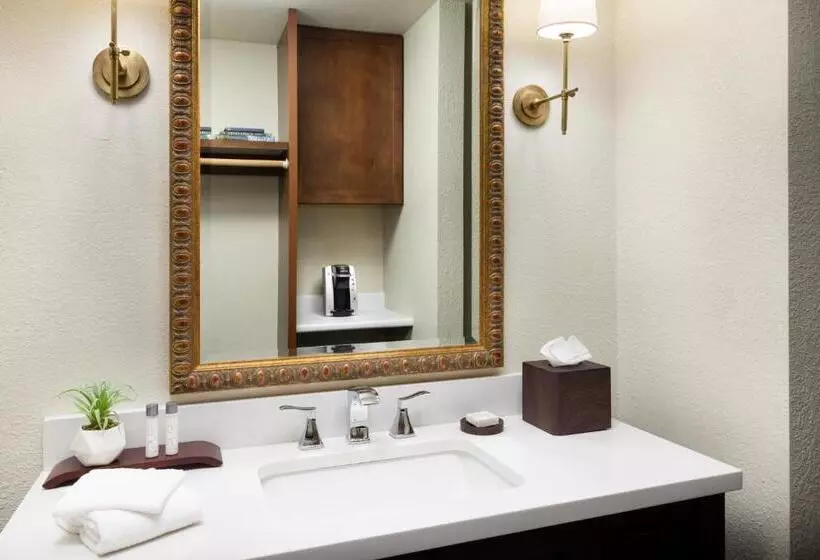 デラックスルーム, Salmon Falls Resort