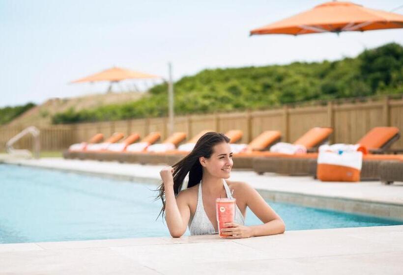 스탠다드 룸, Sanderling Resort Outer Banks