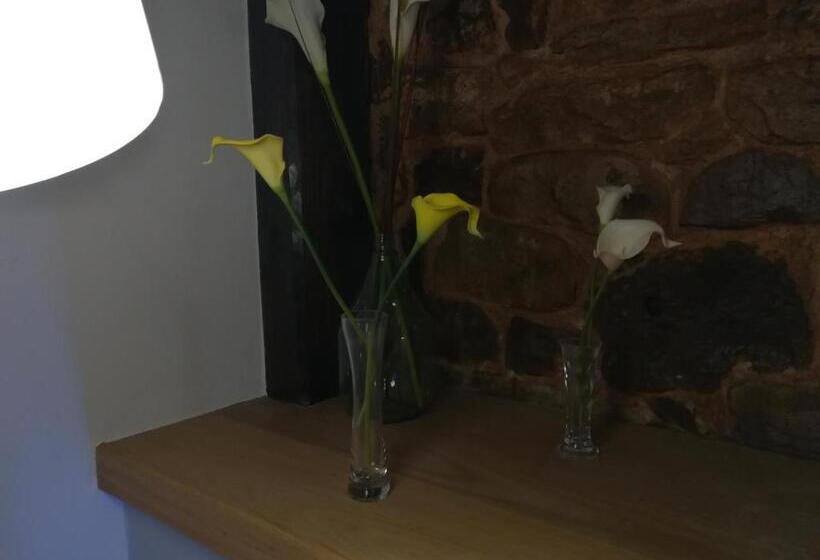 اتاق سوپریور, Posada Ormas