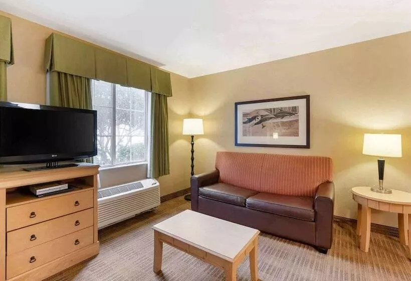 デラックススタジオ, Extended Stay America Suites   Orlando   Lake Buena Vista