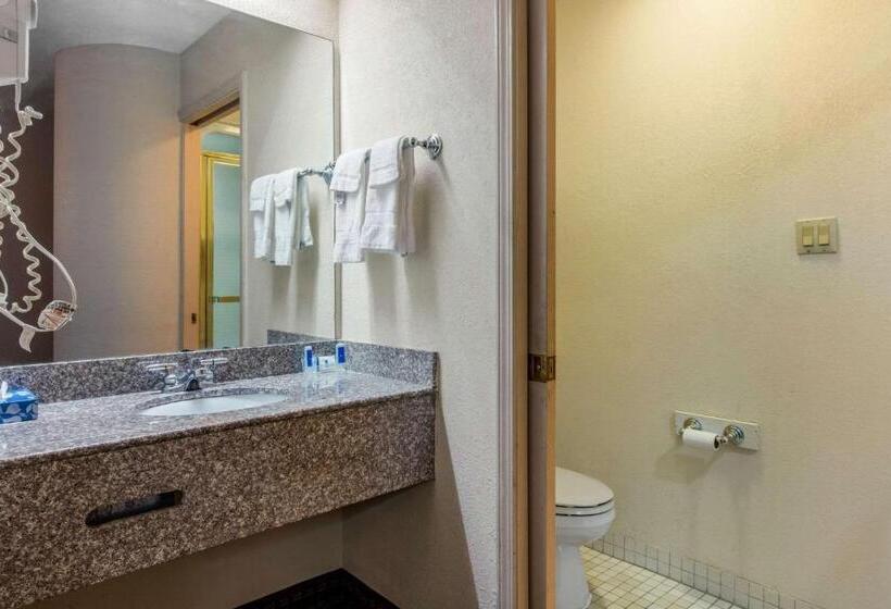 Chambre Standard 2 Lits Doubles, Classic Inn