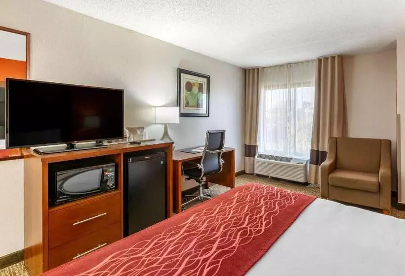اتاق استاندارد با تخت بزرگ, Comfort Inn Greensboro Kernersville