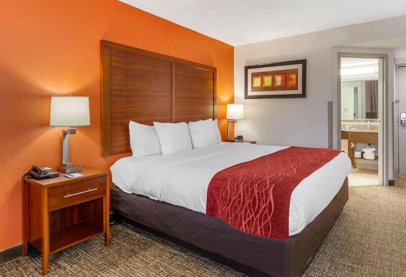 带大床的标准间, Comfort Inn Greensboro  Kernersville