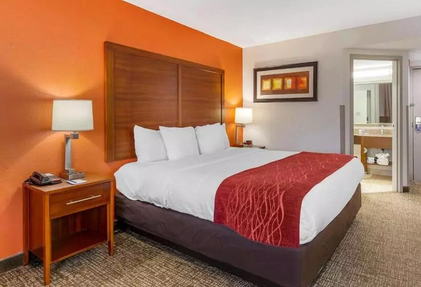 اتاق استاندارد با تخت بزرگ, Comfort Inn Greensboro Kernersville