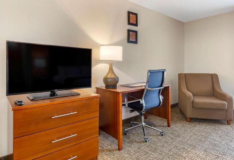 带大床的套房, Comfort Inn Greensboro  Kernersville