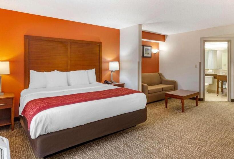 Люкс Кровать Кинг, Comfort Inn Greensboro  Kernersville