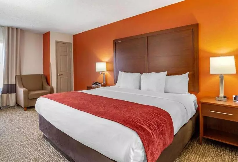 اتاق استاندارد با تخت بزرگ برای معلولان, Comfort Inn Greensboro Kernersville