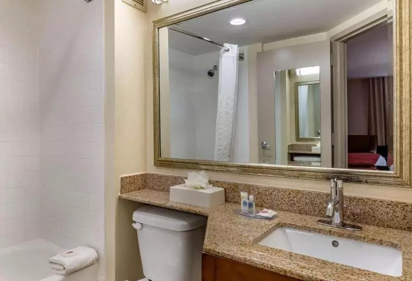 اتاق استاندارد با تخت بزرگ برای معلولان, Comfort Inn Greensboro Kernersville