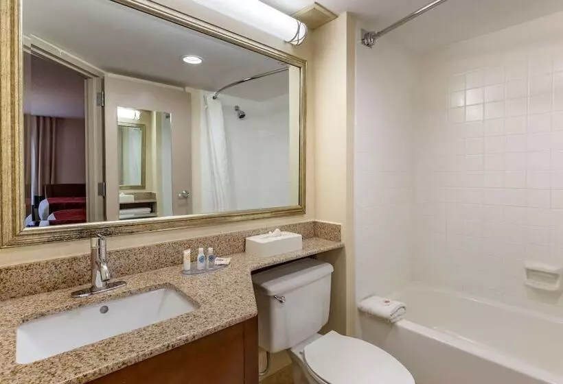 اتاق استاندارد با 2 تخت دوبل, Comfort Inn Greensboro Kernersville