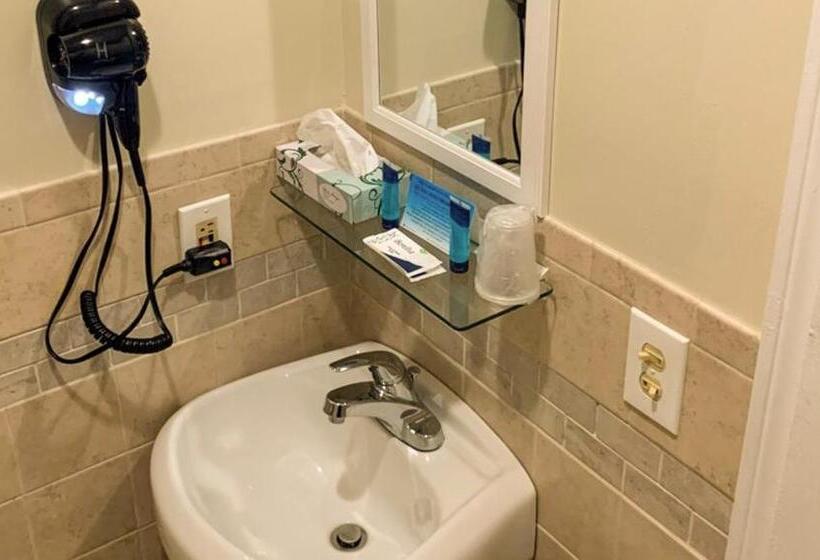 이코노미 싱글 룸, Hampton Motor Inn