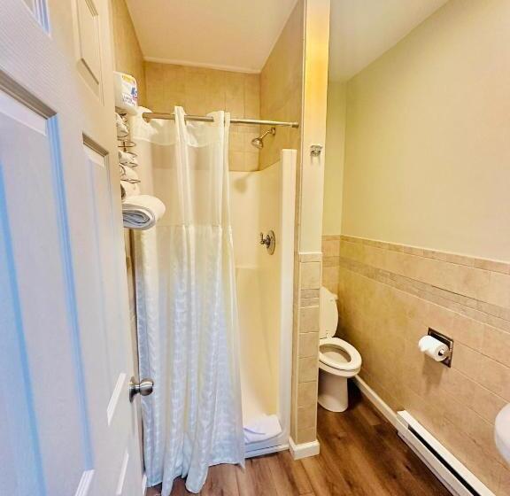 이코노미 싱글 룸, Hampton Motor Inn