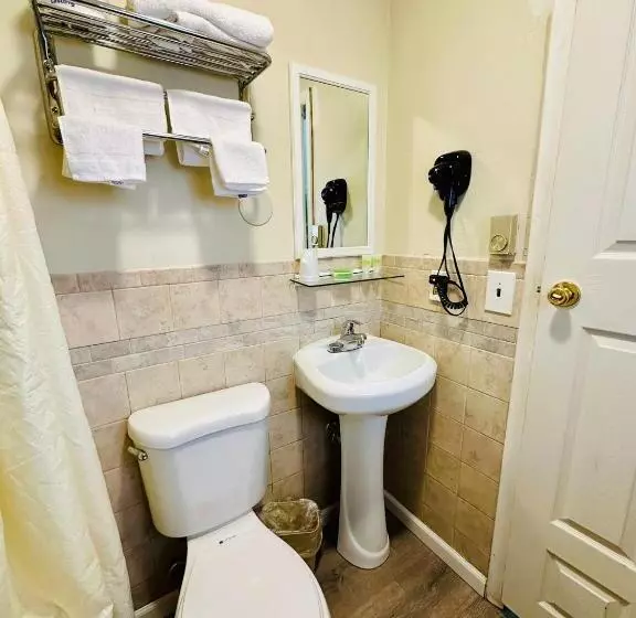 Standard-huone, Hampton Motor Inn
