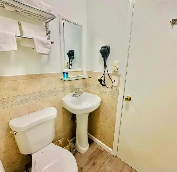 Standard-huone King-vuode, Hampton Motor Inn