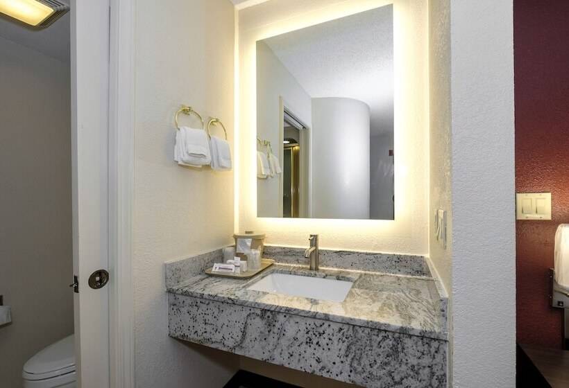 غرفة ديلوكس, Red Roof Inn Pensacola Fairgrounds