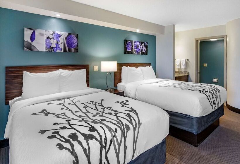 Номер Стандарт 2 Двуспальные Кровати, Sleep Inn Clearwaterst Petersburg
